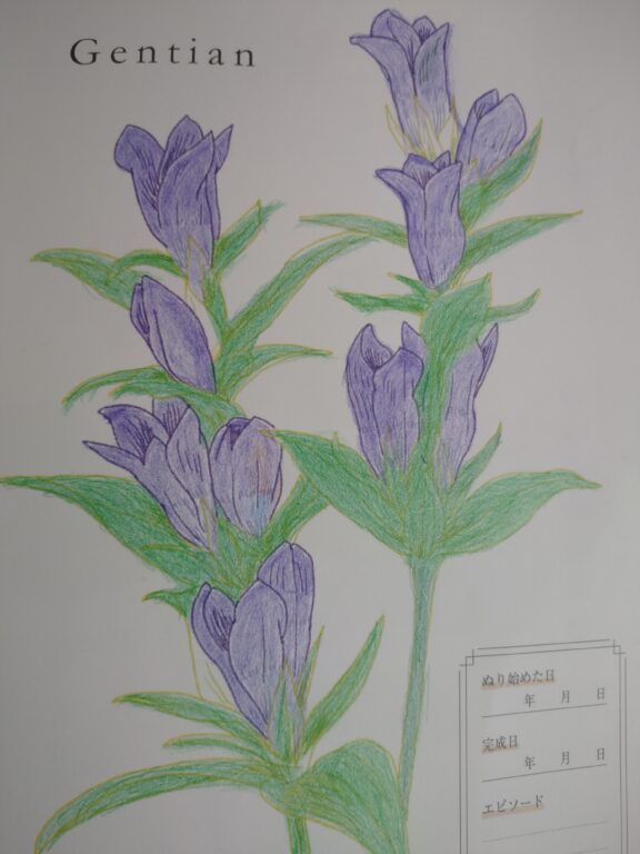 福島県介護施設塗り絵