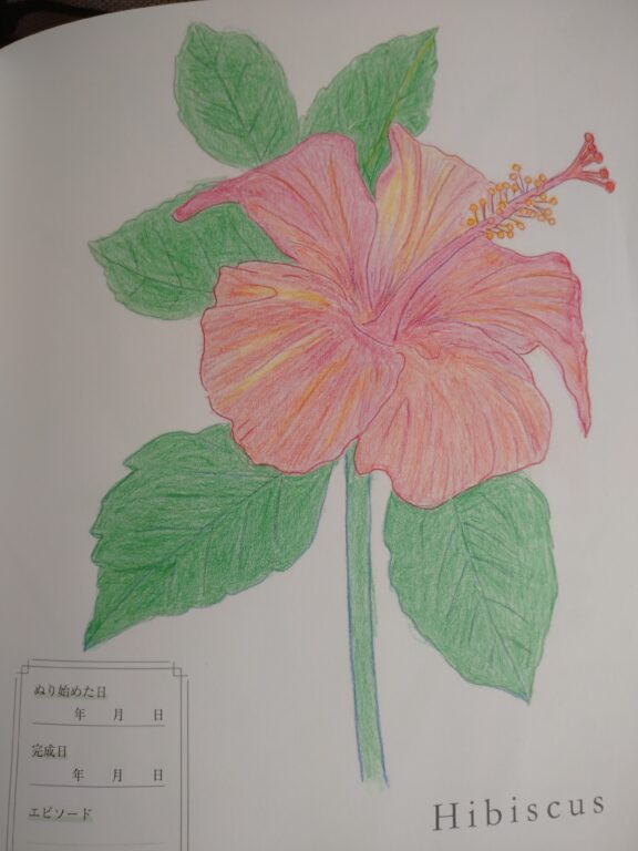 福島県老人ホーム塗り絵